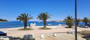 Apartment Novalja Simic