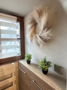 Appartements Jeannette : photos des chambres