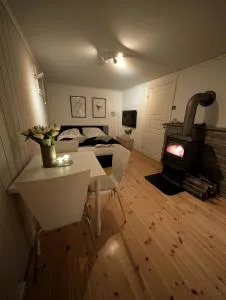 Koselig kjellerleilighet, gratis parkering! - 米德桑坦