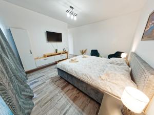 FLH - Studio Escape Din Munti