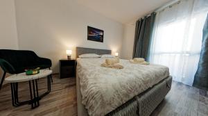 FLH - Studio Escape Din Munti