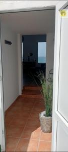 Piso magico junto al mar con gran terraza