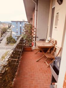 Welcome Migliarina 3