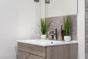 Spacious 1 Bedroom City Apartment with full amenities