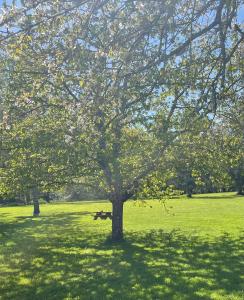 Chambre dhôtes de lAngeline