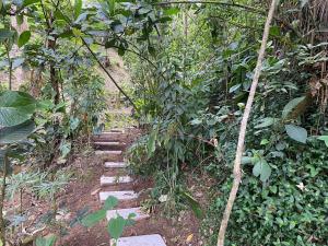 Luxury Cabin in the Forest