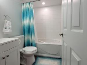 Luxury one bedroom in a modern basement