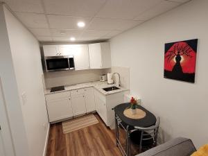 Luxury two bedrooms in a modern basement