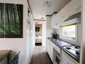 Chalet in Tzummarum near Frisian Countryside