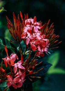 Hotel y Restaurante El Páramo