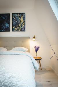 Appartements Le petit joyau de Voltaire : photos des chambres