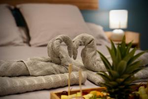 Appartements Suite, Hammam, Sauna, et Jacuzzi : photos des chambres