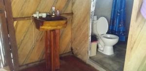 alojamiento en el amazonas