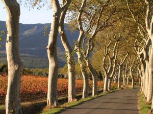 Maisons de vacances Moliere - la maison Comfortable holiday residence : photos des chambres