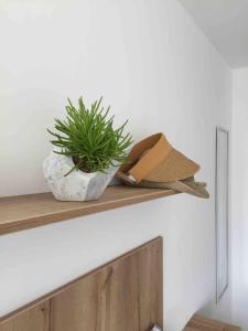 Departamento San Bartolo, Excellent Location!