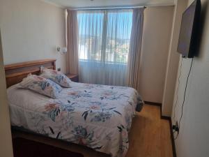 Departamento Central Ohiggins