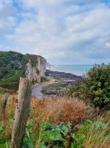 Maisons de vacances El NIDO proche d'Etretat et Fecamp : photos des chambres