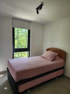 Departamento Pucon Andino