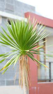 griya desa hotel & pool