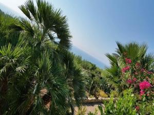 Apartment in Sicily near La Pineta Beach
