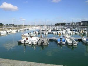 Appartements Etel : Appt Duplex 3 Pieces 45m² - Piscine - Animaux Bienvenus - FR-1-479-216 : photos des chambres