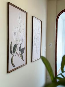 Soothing Getaway Spacious studio w kitchen in D1