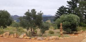 Gecko Cottage at Artemis