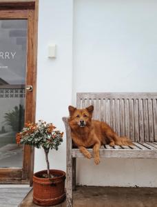 148 Guesthouse and Resort