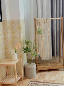 Corgi House Homestay Nha Trang 2