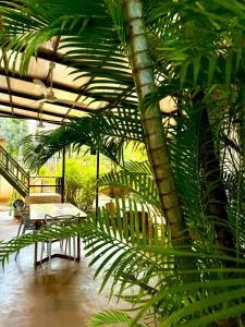 Mes trois coeurs - Phumĭ Réach Born