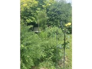 Blum - vom Ende Comfortable holiday residence