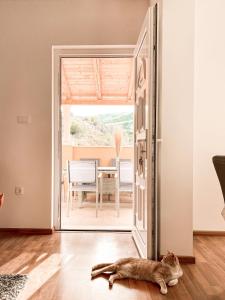 Adriatic Escape Appartments