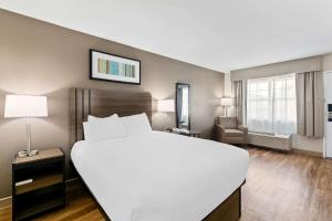 Queen Room - Non-Smoking room in Quality Inn Fayetteville Near Historic Downtown Square