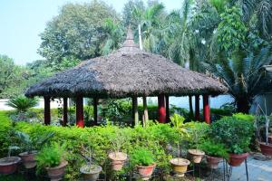 lush green Kalawati Guest house