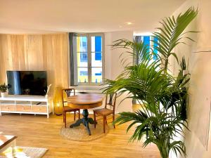 Appartements Appartement Tout Confort Coeur de Ville Grand Balcon Le Neouvielle : photos des chambres