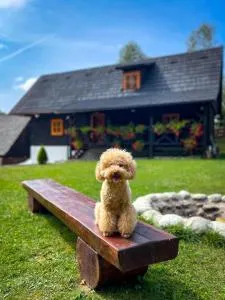 Traditional deer Cabin with Sauna - Vyšný Kubín
