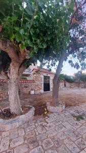 200 year old Kamara Suite with private garden