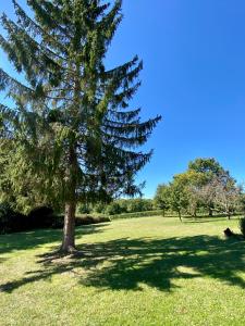 Maisons de vacances Le Petit Cinq Ruffe : photos des chambres