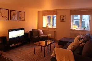 Visit wonderful Odense center - 3 bedroom appartment - Odense