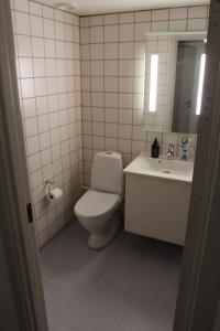 Visit wonderful Odense center - 3 bedroom appartment