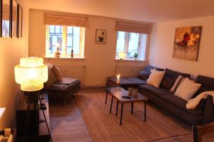 Visit wonderful Odense center - 3 bedroom appartment