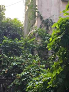 Home 59 Phạm Văn Đồng, Hà Nội