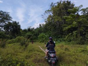 Bukit Lawang Batu Kapal Rimba House