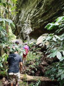 Bukit Lawang Batu Kapal Rimba House