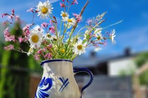 Ferienwohnungen Eder Fewo Berghäusl