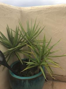 Maison familiale vue mer