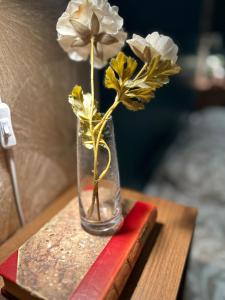 Elegant Villa Studio