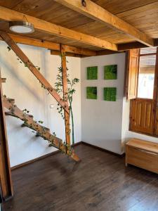 Piso 4 - Apartamento Mercado Central