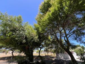 3 on Nebraska Accommodation