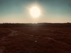 Maisons de vacances Maison au coeur de Saint Trojan : photos des chambres